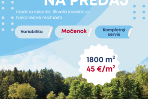 Green and White Modern Land Plot For Sale Flyer-2154