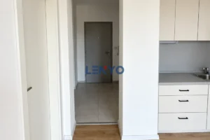 9-3065