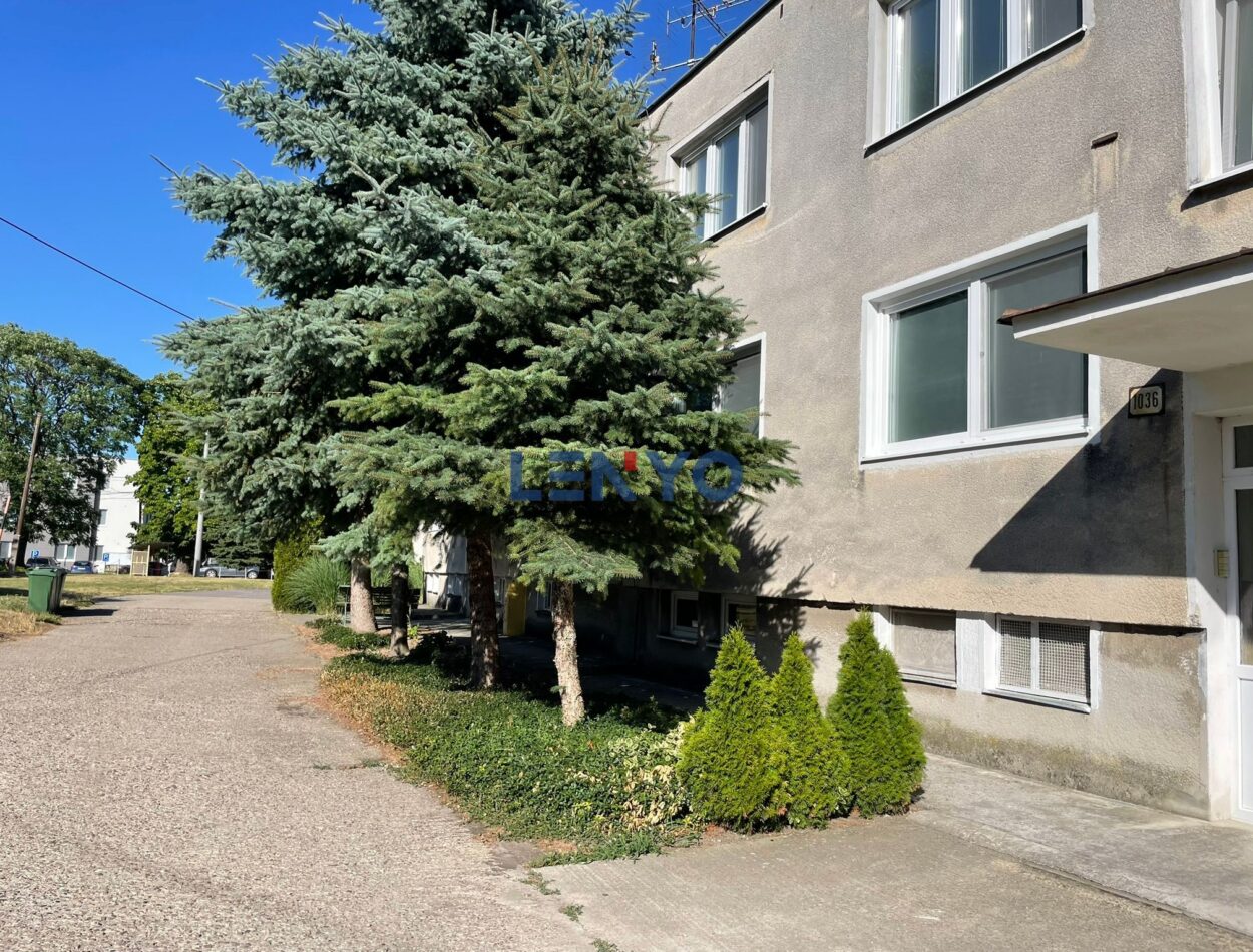 20-3295 20-3295